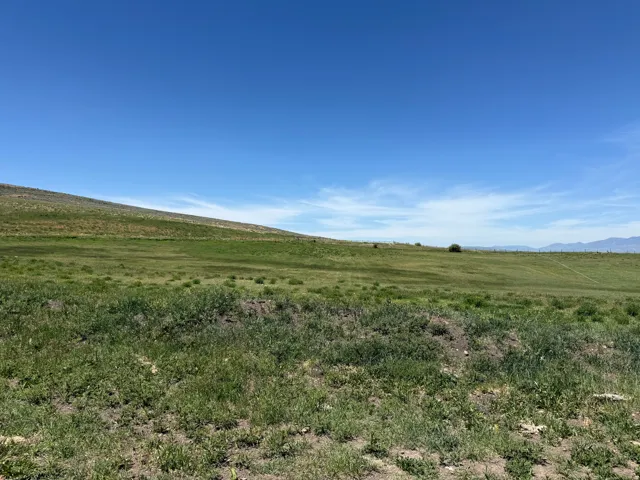 Expansive land parcel featuring rolling hills, varied green vegetation, and distant mountain ranges under a clear sky