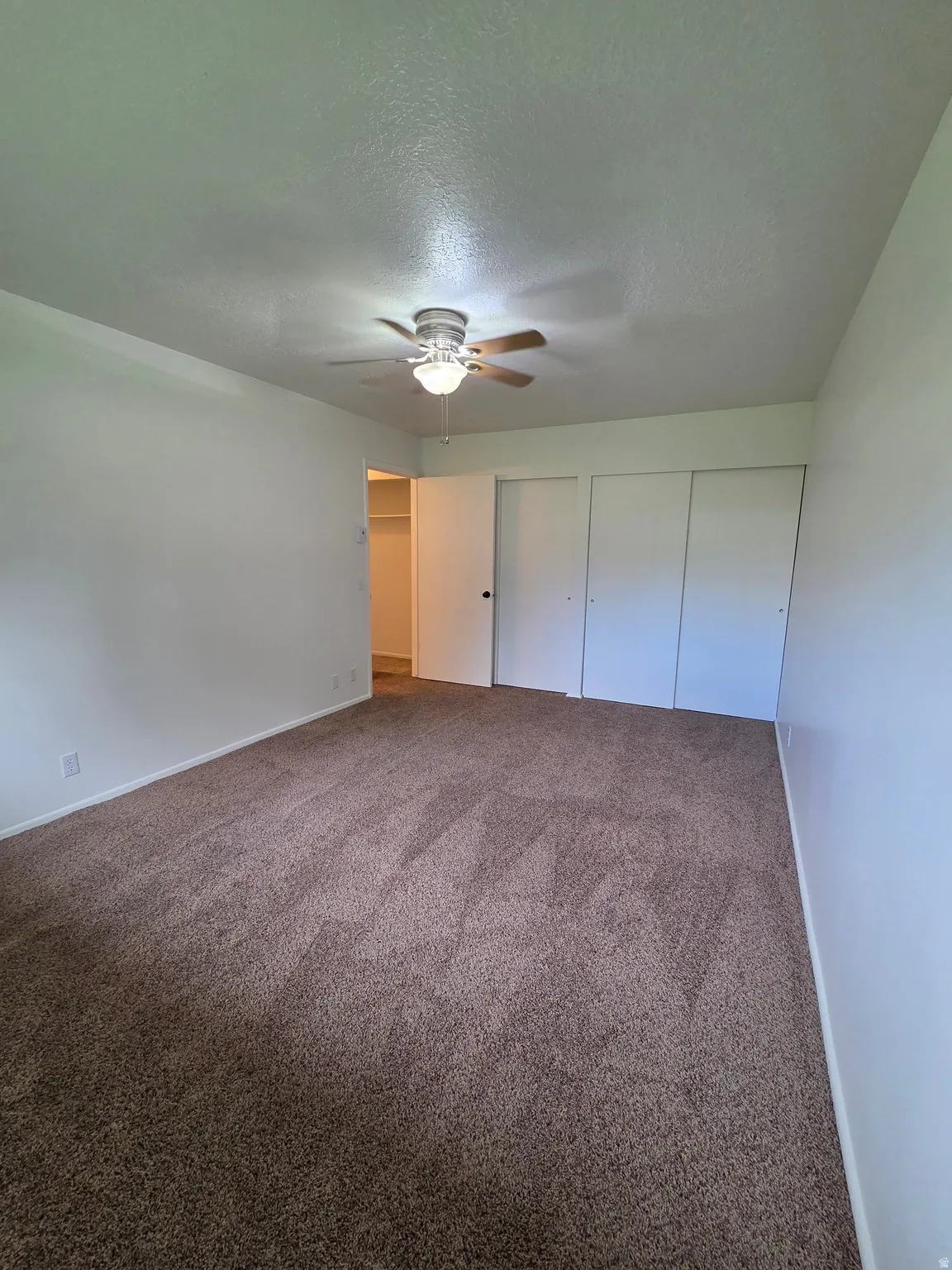 Primary bedroom with his and her closets