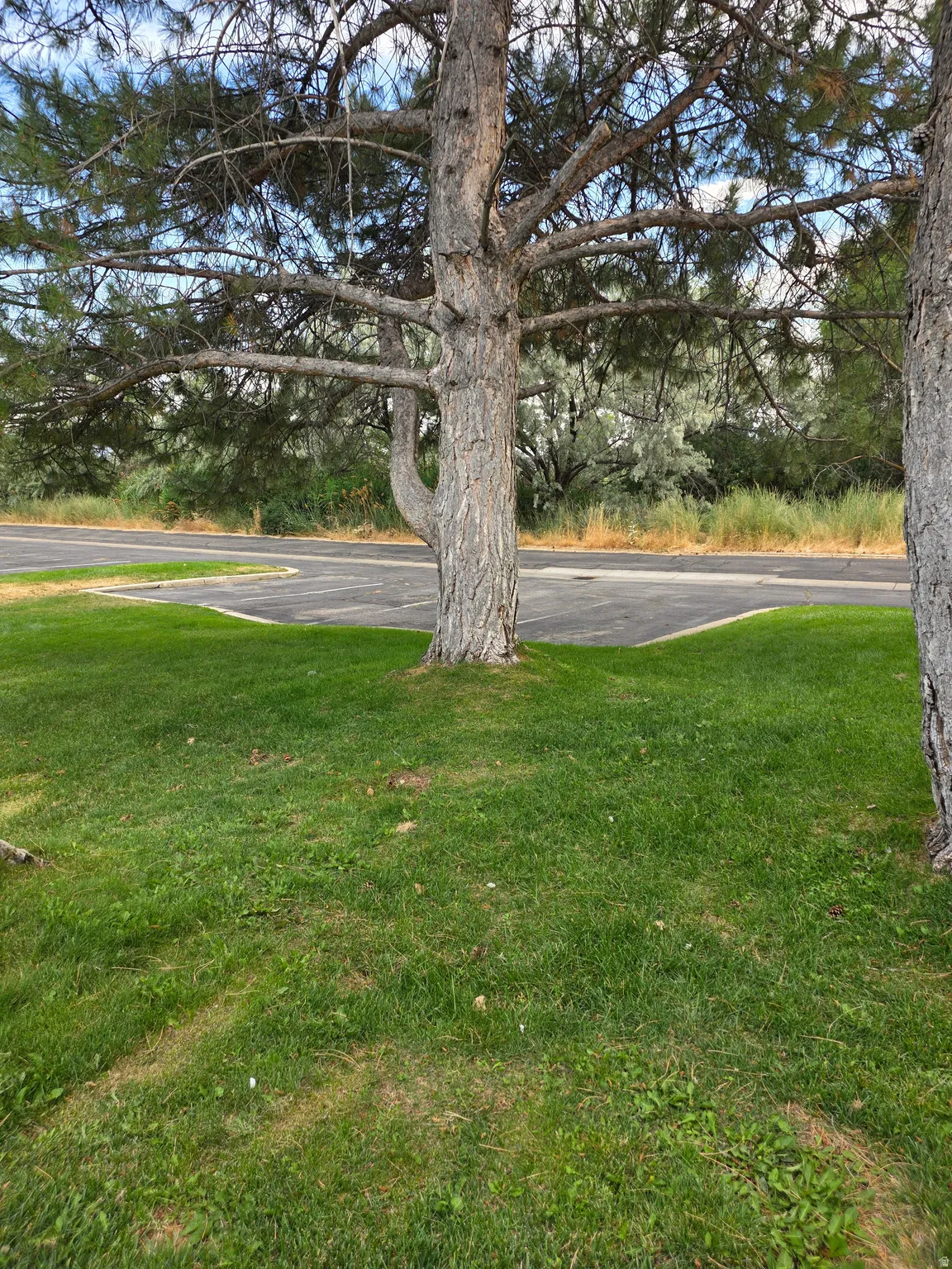 Guest parking next to condo