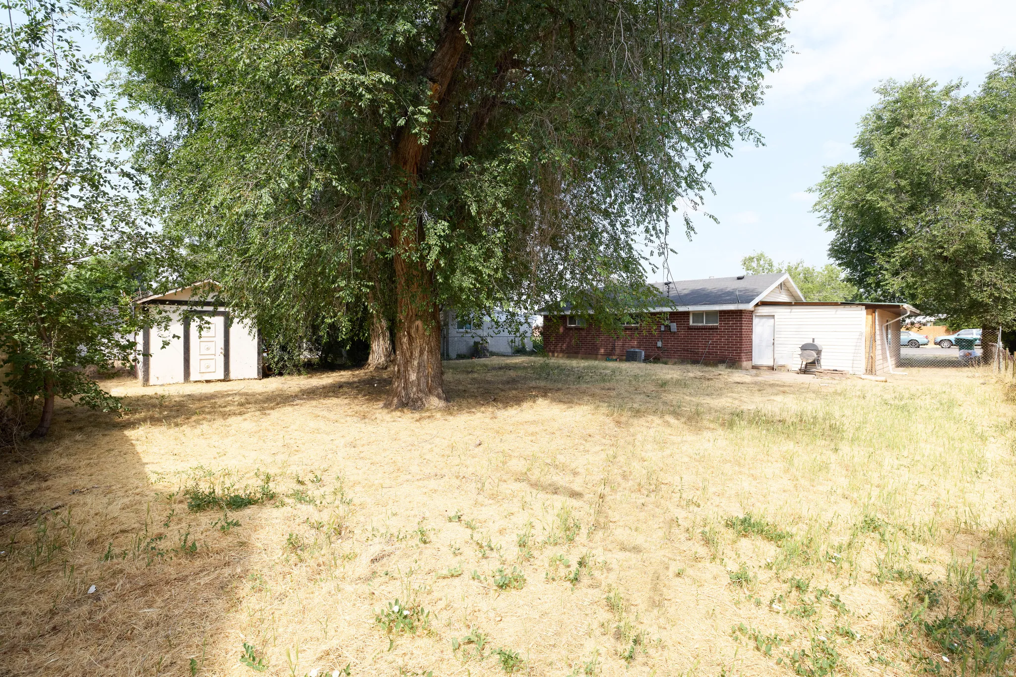 Expansive backyard featuring mature trees, a white storage shed with dark trim, and a brick exterior dwelling with a dark shingle roof
