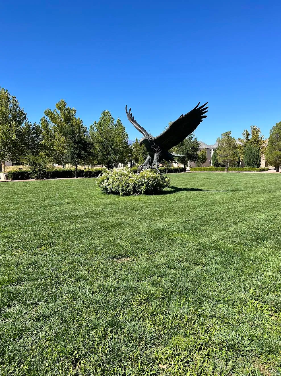 Expansive green space featuring a prominent eagle sculpture surrounded by low-lying shrubs