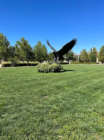 Expansive green space featuring a prominent eagle sculpture surrounded by low-lying shrubs