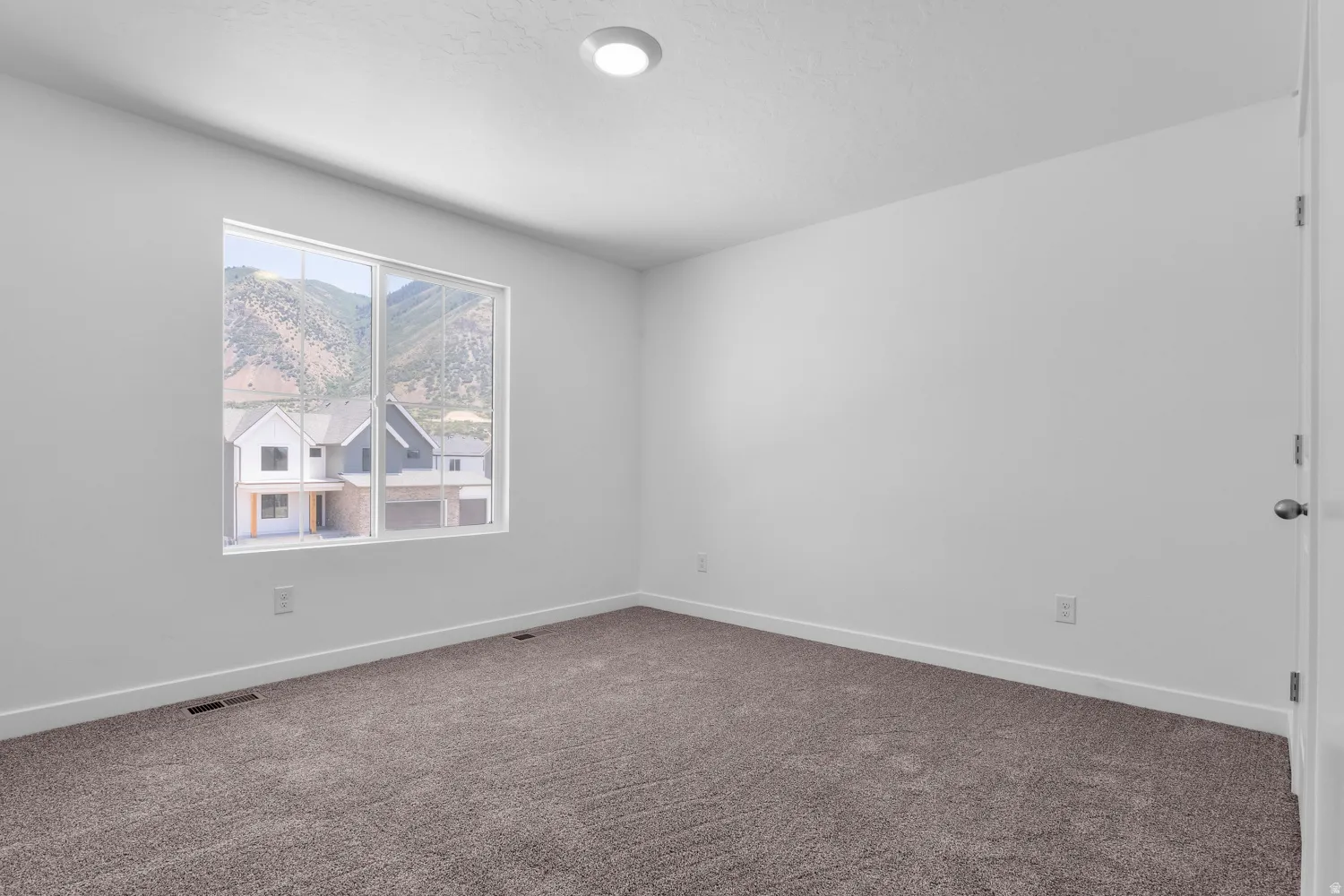 Bright room featuring a large window, plush gray carpeting, white walls, and a ceiling-mounted light fixture