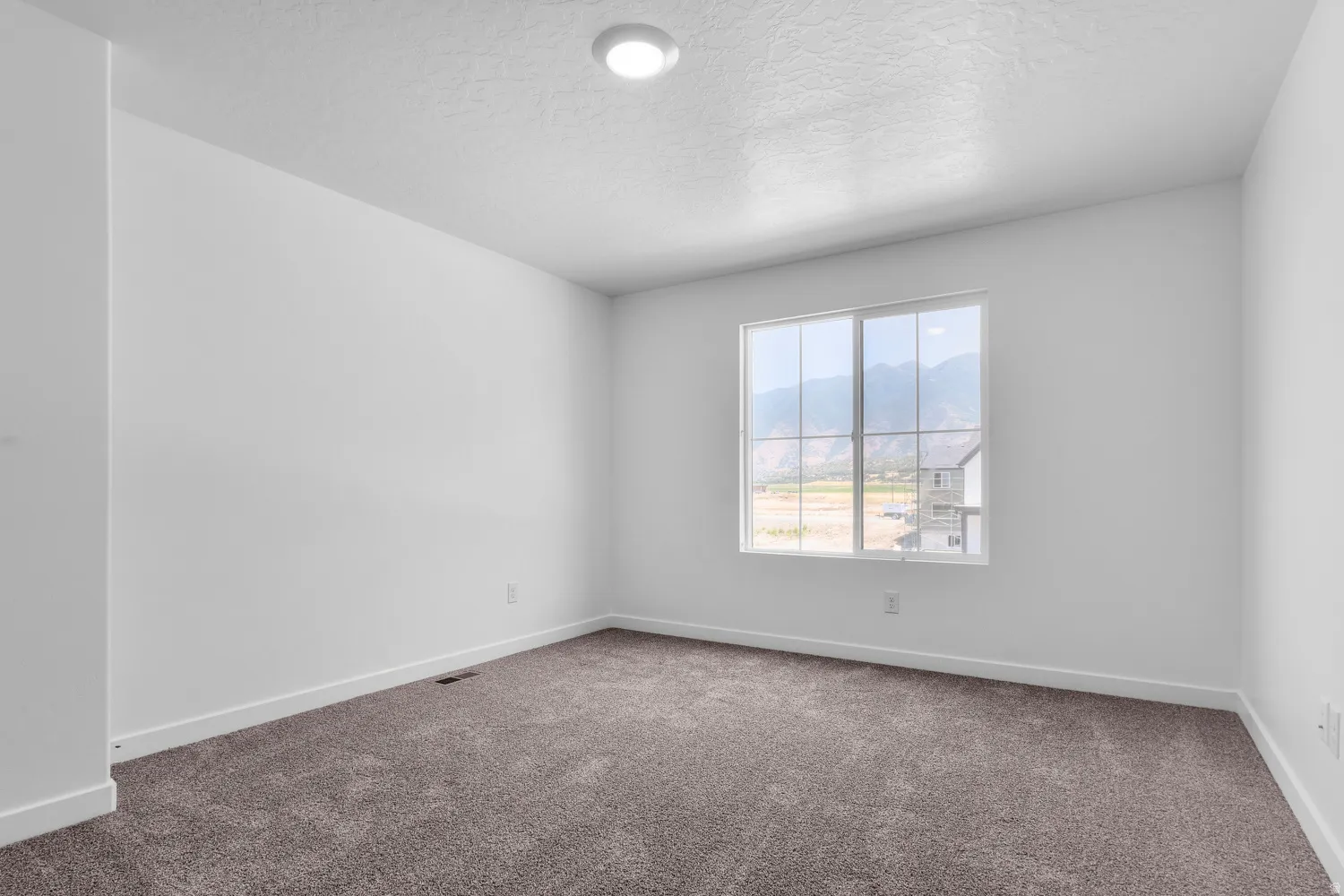 Bright room with a large multi-pane window, neutral-toned carpet, white painted walls, and white baseboards