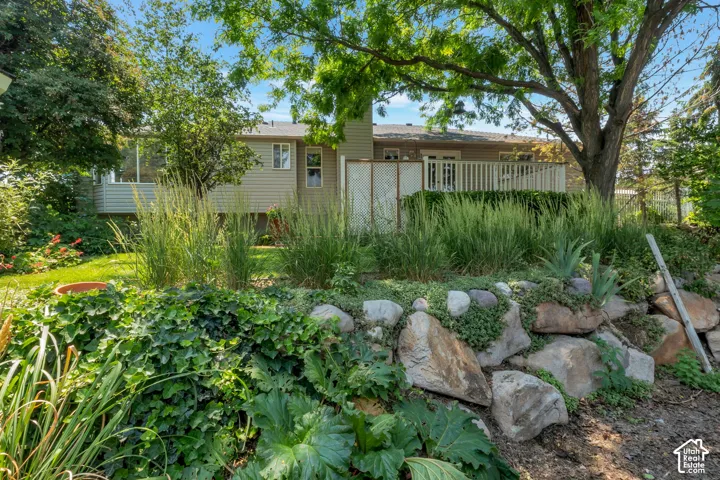 Tiered landscaping featuring a rock retaining wall, mature greenery, and broadleaf plants