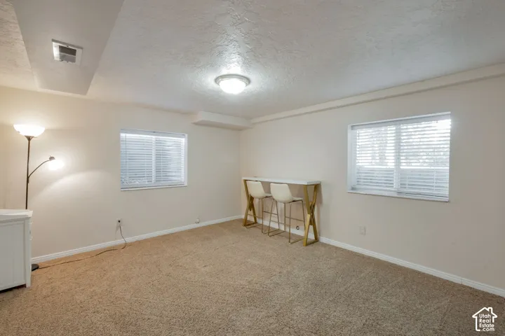 Spacious carpeted room featuring two windows with white blinds, a flush-mount ceiling light, and light-toned wall finishes