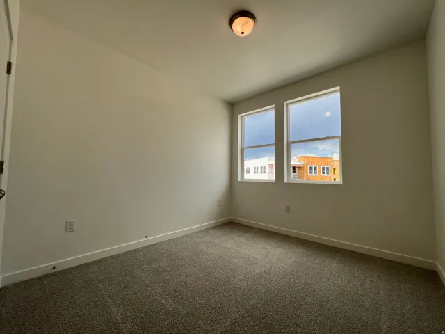 Neutral wall color, two windows, textured carpet, white baseboards, and a ceiling-mounted light fixture
