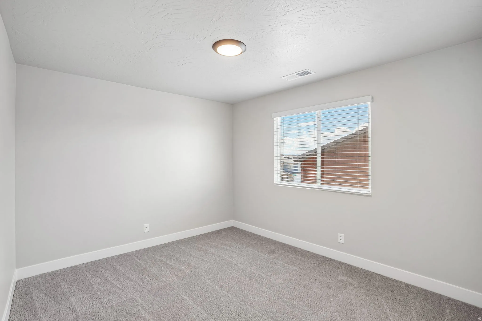 Neutral wall paint with white trim, gray carpet flooring, and a flush-mount ceiling light
