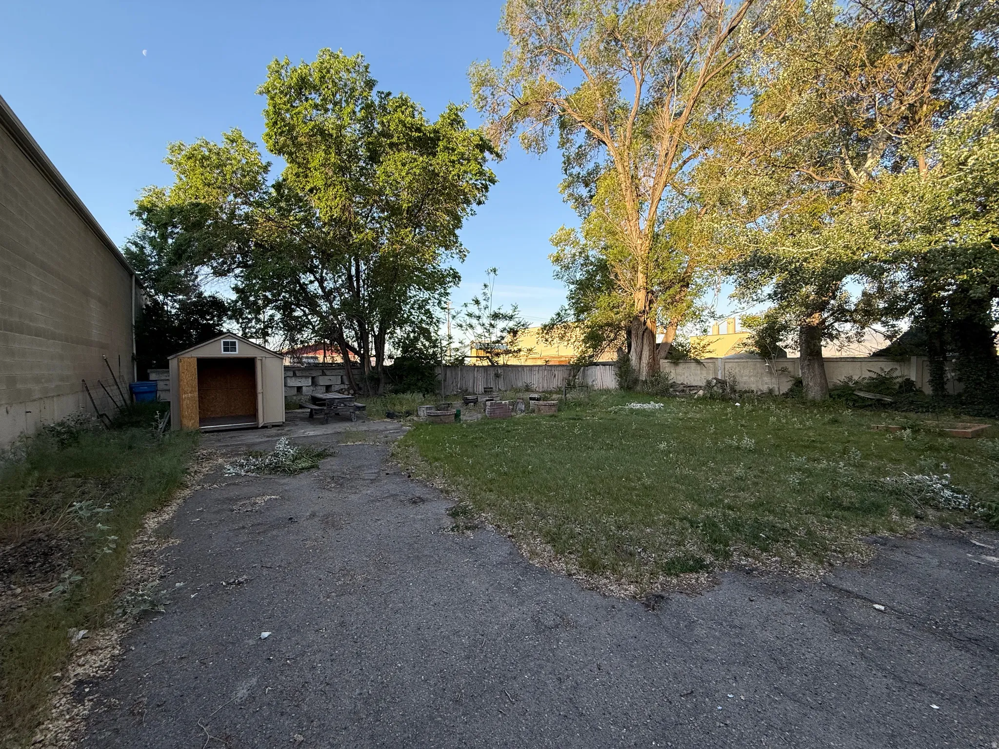 Expansive outdoor area featuring a compact shed with an open doorway, mature trees providing shade, a concrete block retaining wall, and a grassy section