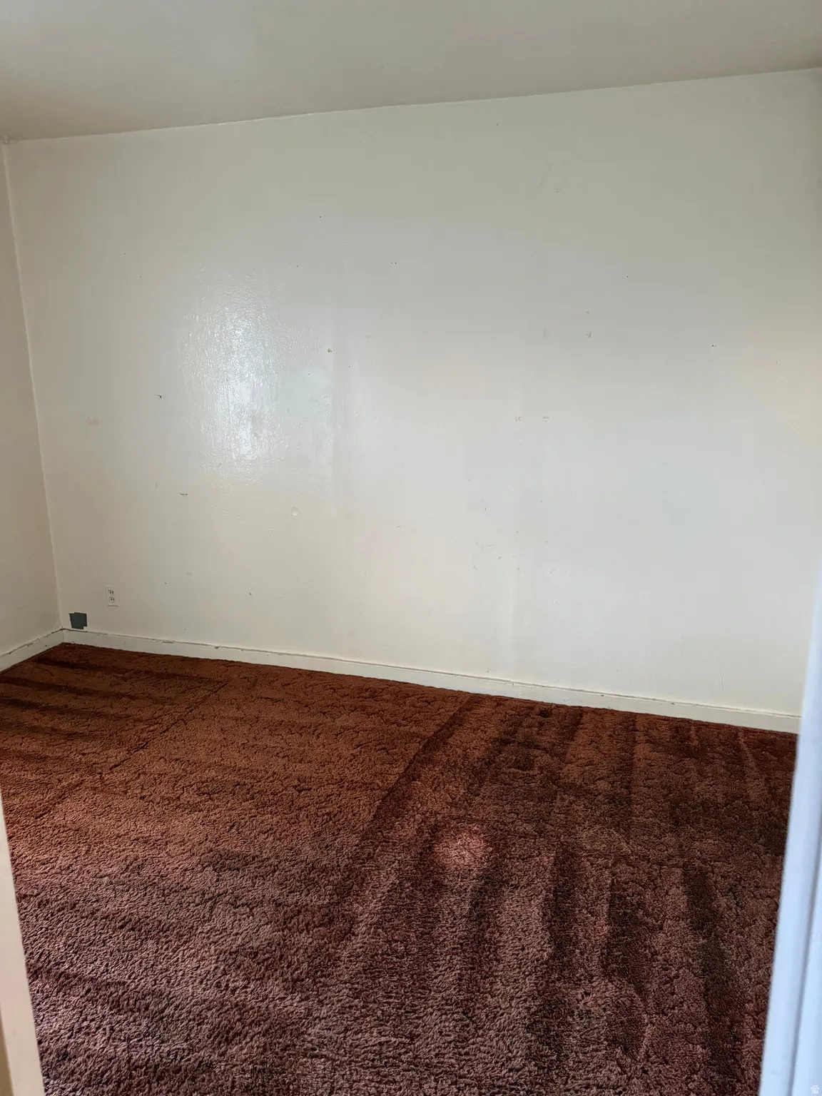 Carpeted room with light-toned walls and white trim