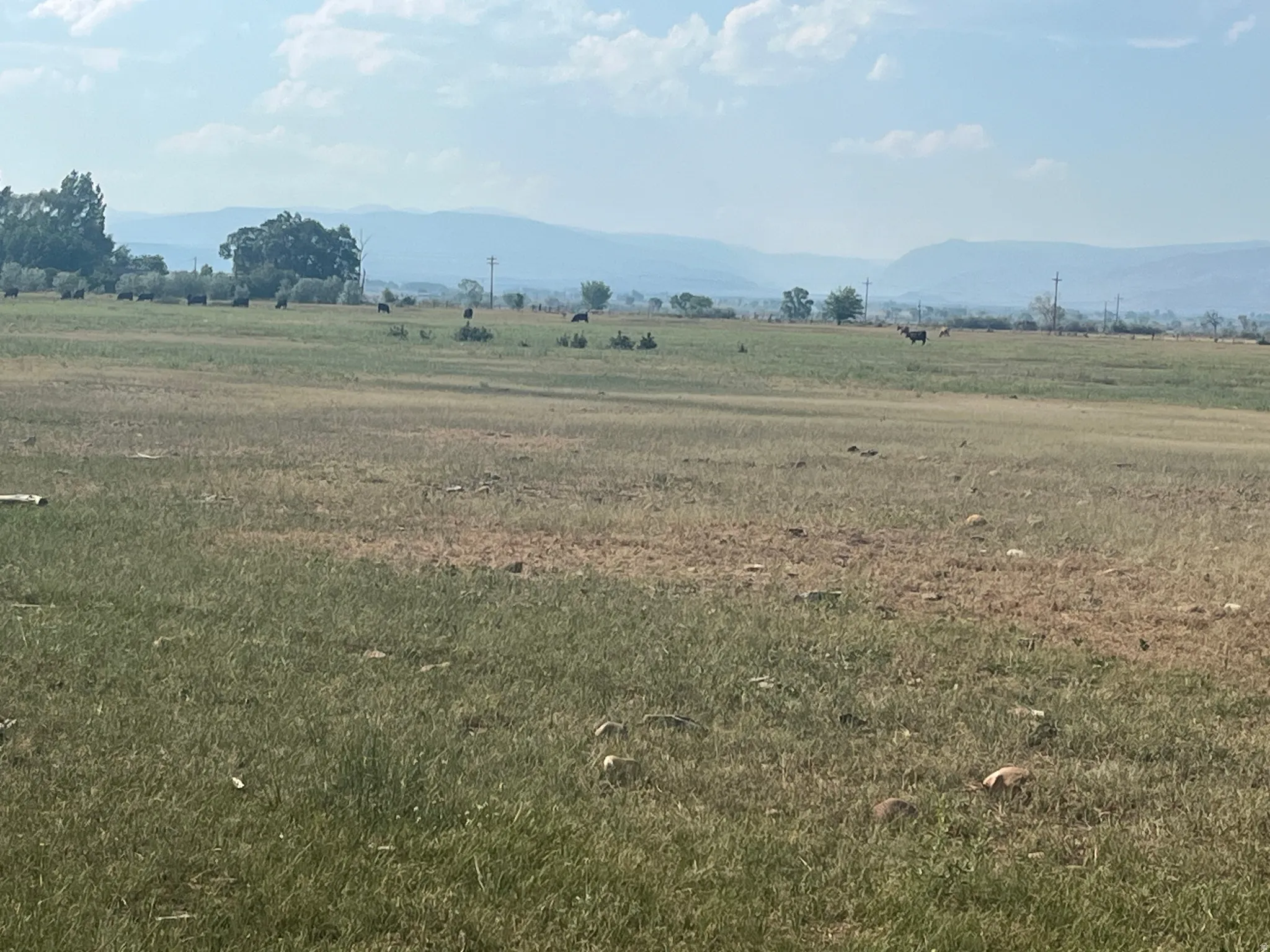 Expansive open land featuring natural grasses and distant mountain ranges