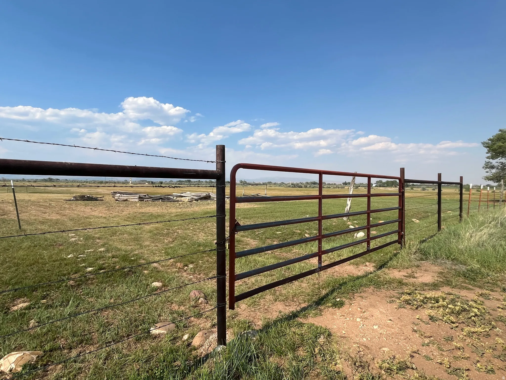 Expansive open field with a red and black metal gate