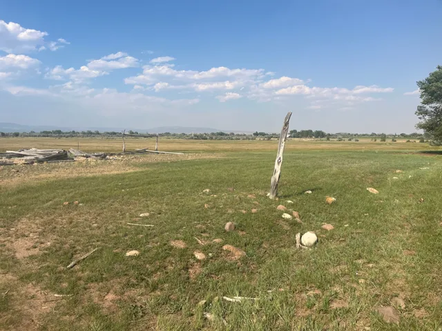 Expansive open field with natural vegetation and distant tree lines