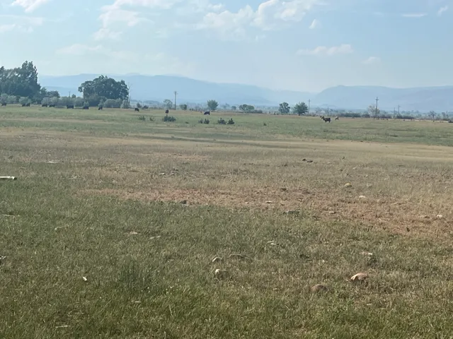 Expansive open land featuring natural grasses and distant mountain ranges