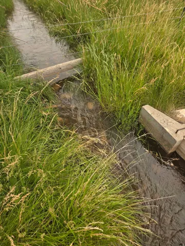 Water feature bordered by natural tall grass and a rustic wooden beam