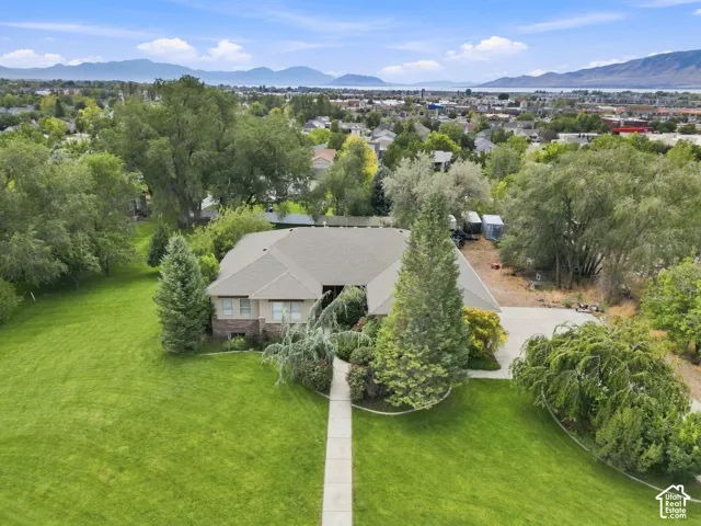 Expansive green lawn with mature trees and a paved walkway