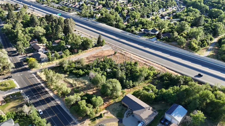 Expansive property lot featuring mature trees and varied vegetation