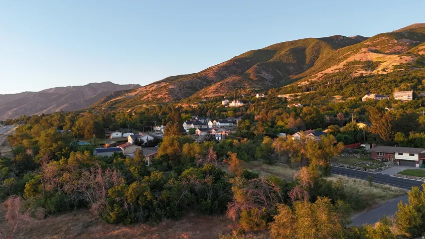 Mountainous landscape featuring residential properties among mature trees and natural vegetation