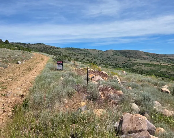 Expansive undeveloped land featuring natural rock formations and a dirt road
