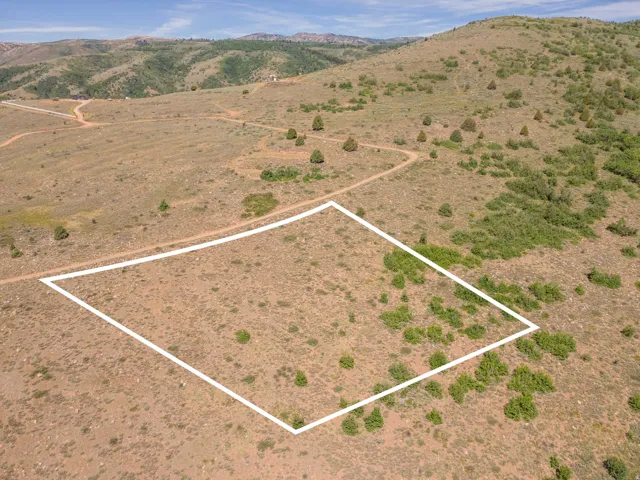 Expansive undeveloped lot featuring natural vegetation and rolling terrain