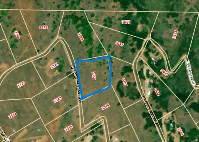 Property Survey Map. Indicating the parcel configuration and surrounding geographical context