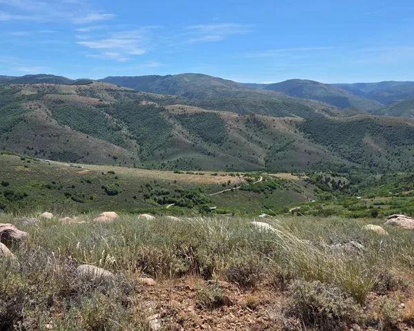 Expansive terrain featuring rolling hills, varied green foliage, and natural rock outcroppings under a clear sky