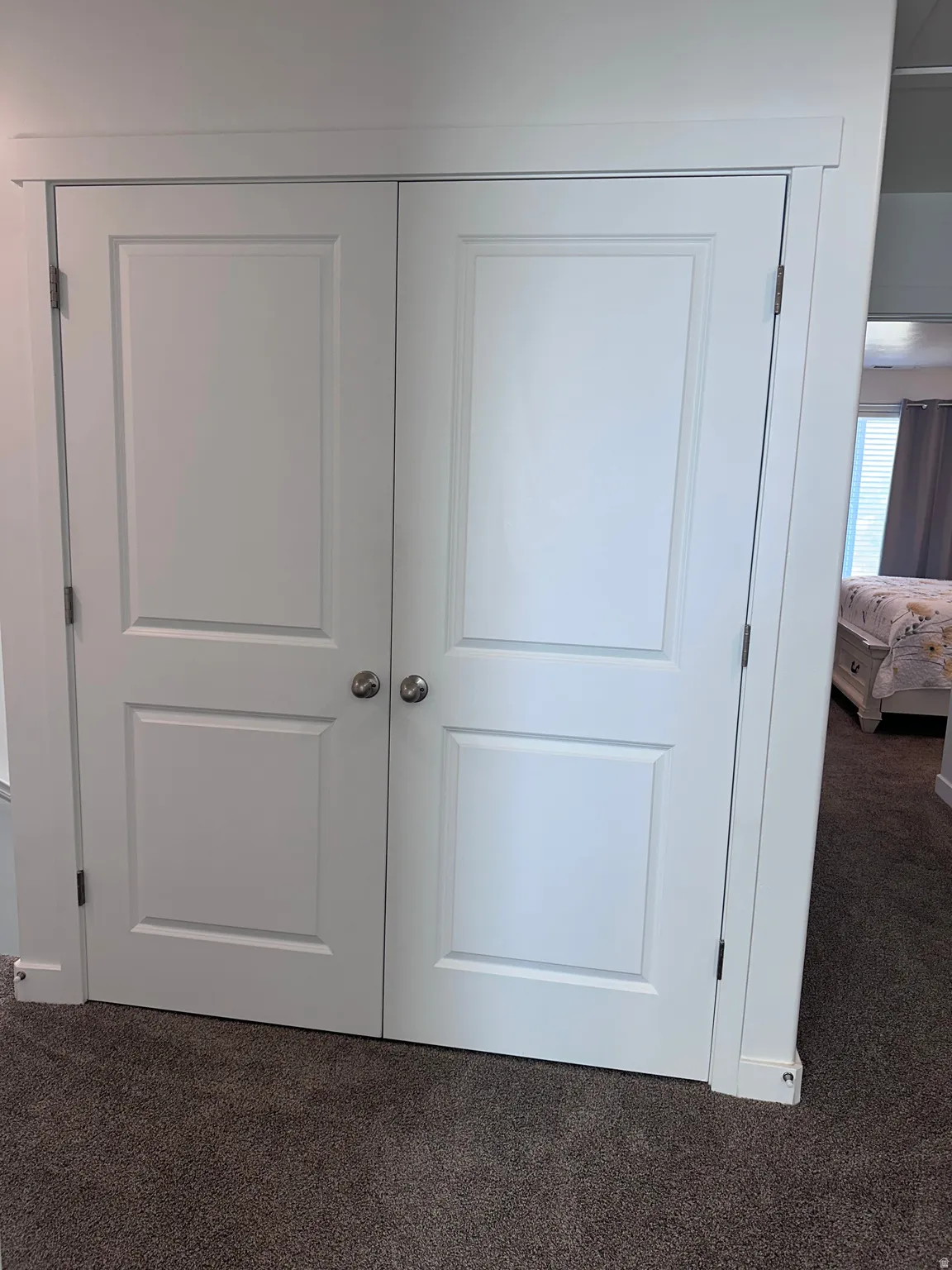 Double panel doors with chrome hardware and white trim