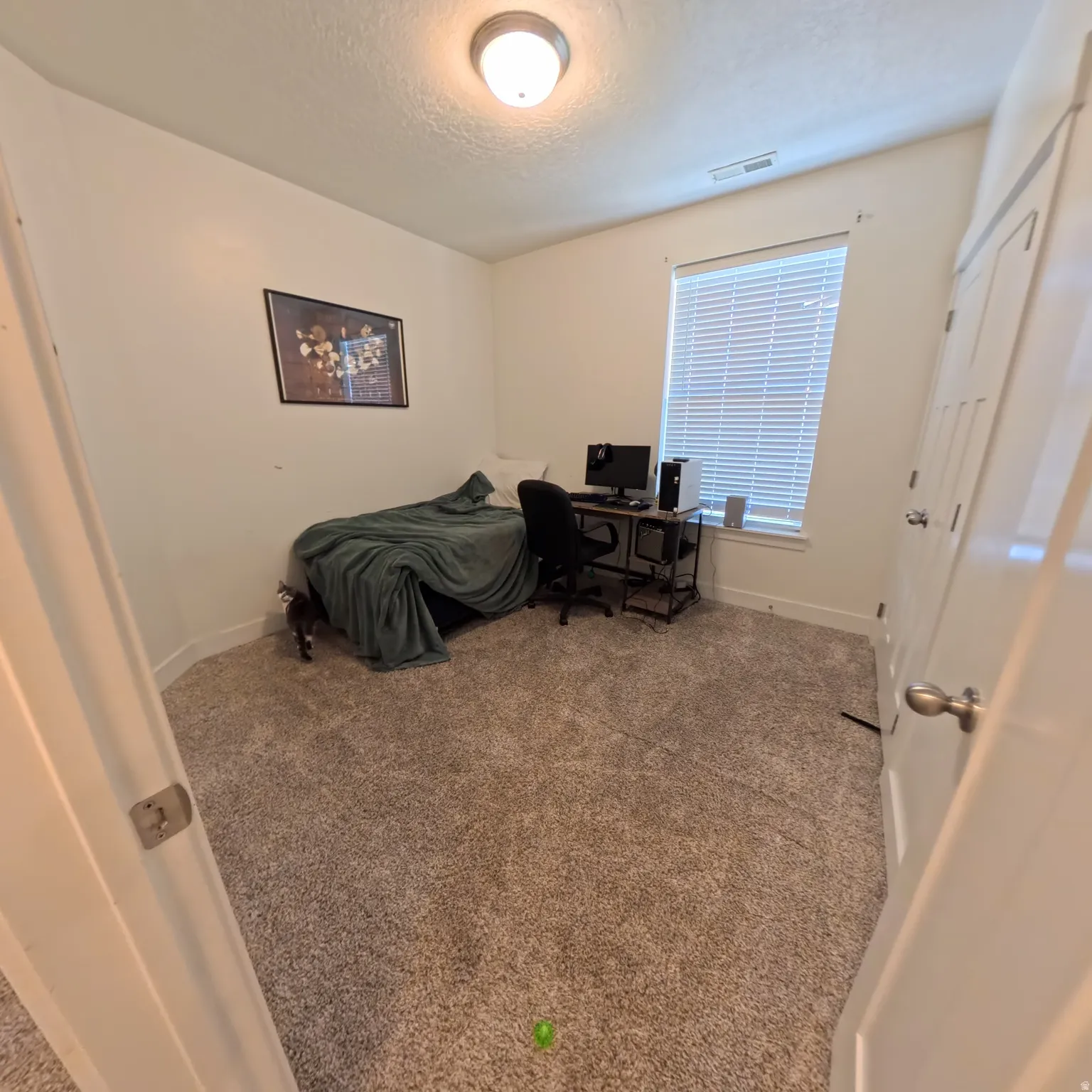 Carpeted room with a single window featuring horizontal blinds