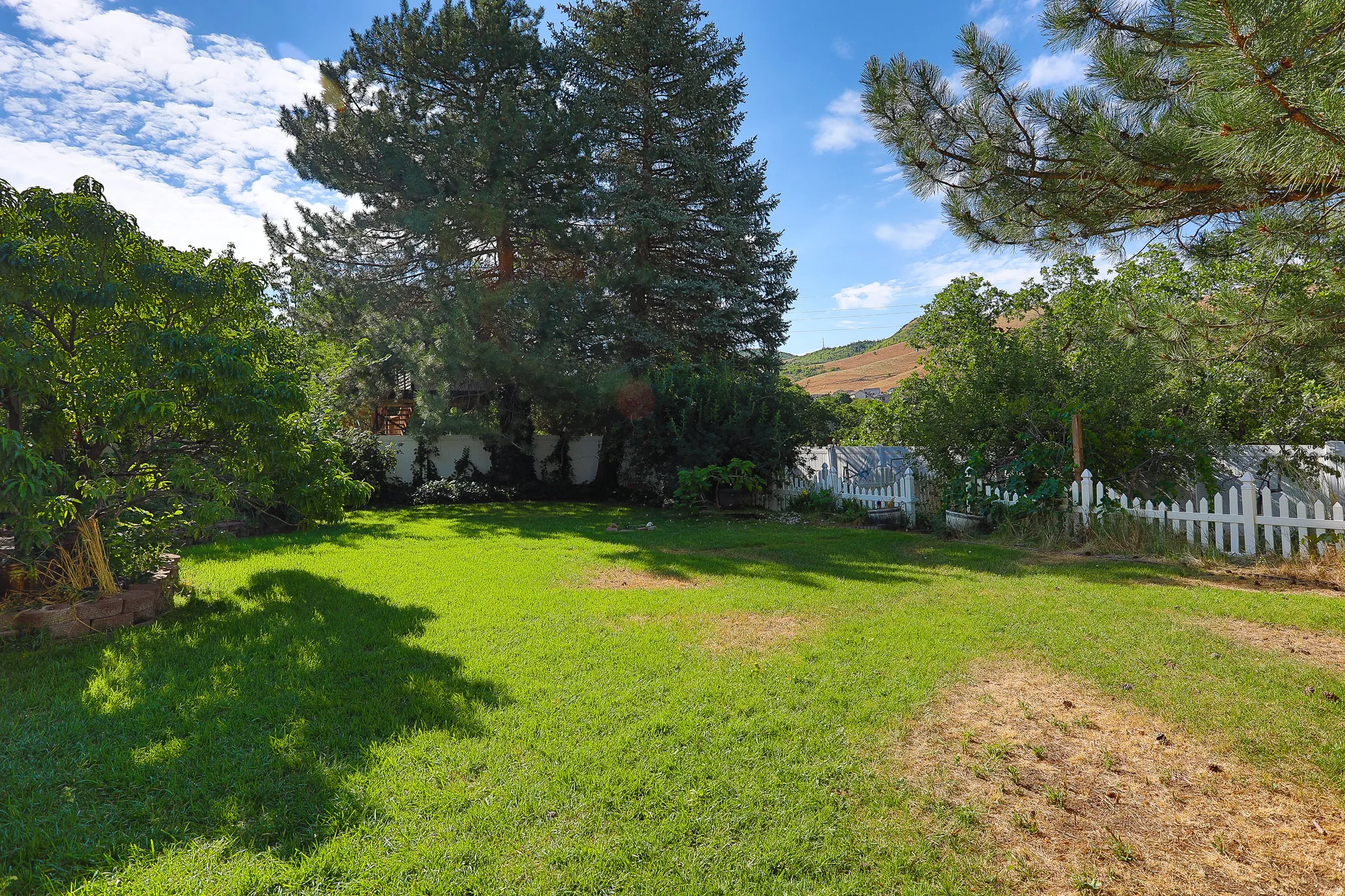 Expansive lawn area featuring mature trees, a white picket fence, and distant hillside scenery