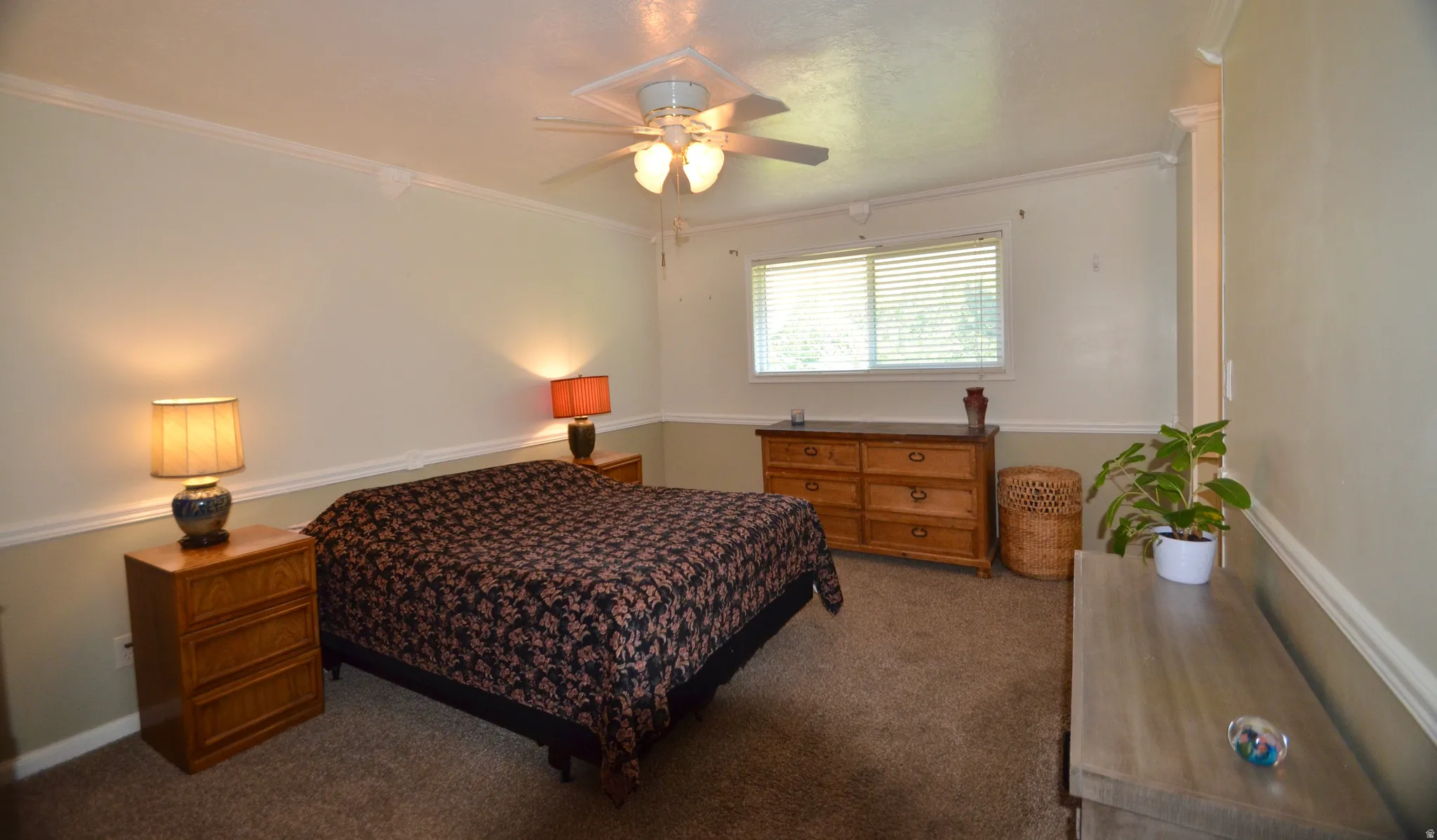 Carpeted room featuring a ceiling fan, two-tone walls with trim, and a window with blinds