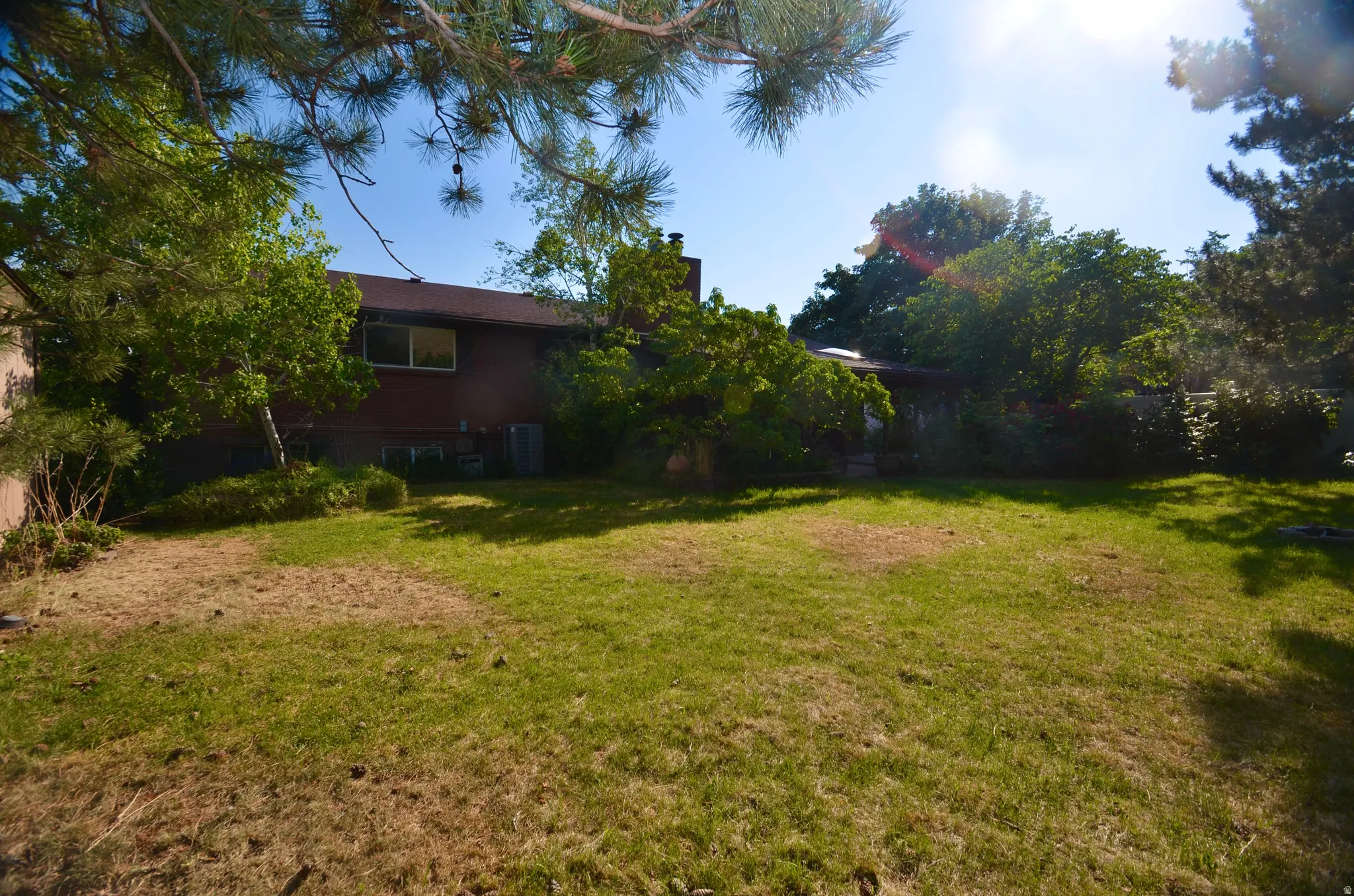 Spacious rear yard with a combination of grass and natural ground cover