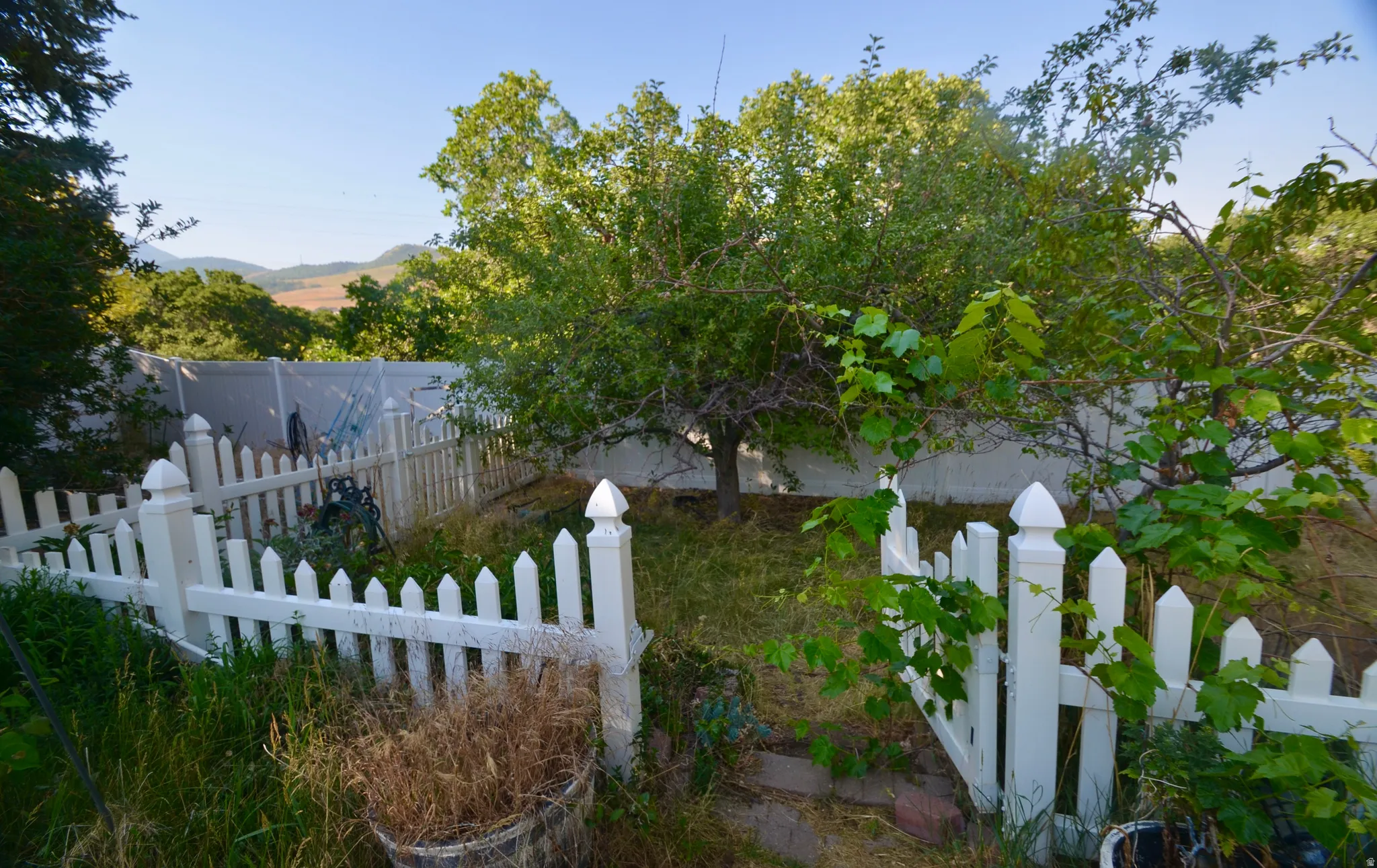 Fenced backyard area featuring a white picket fence, mature trees, and distant hills