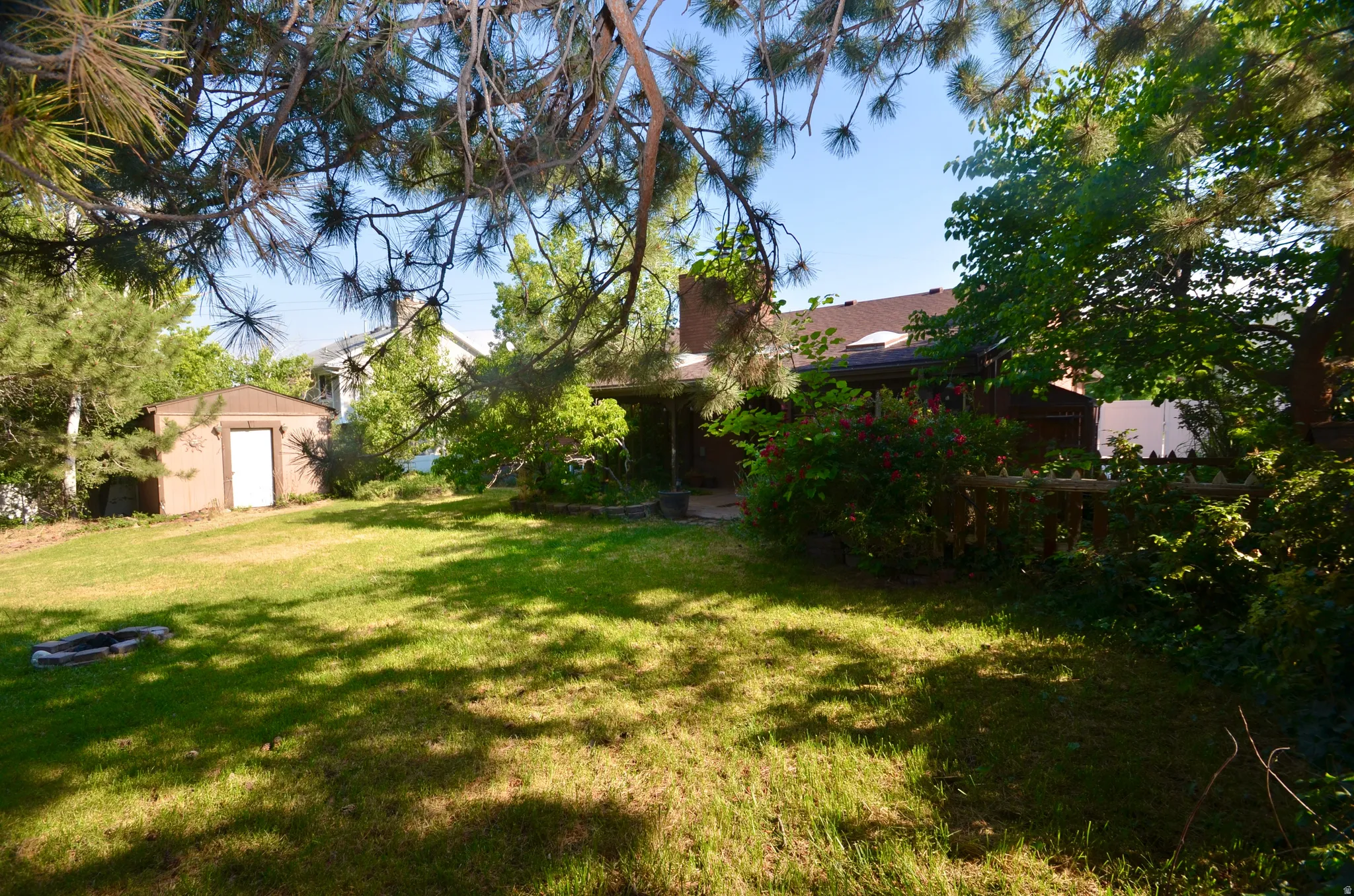 Expansive green lawn with mature trees and a detached shed
