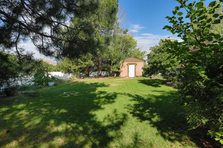 Expansive grassy yard featuring a utility shed with a tan exterior and white door