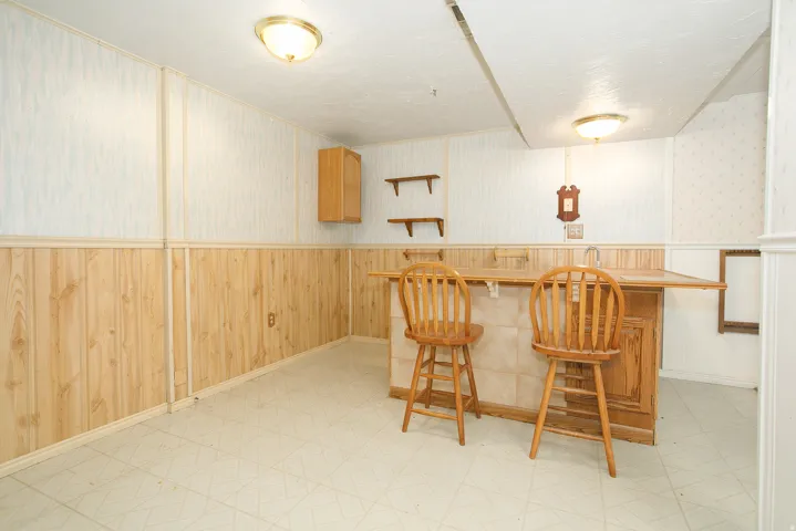Recreation space featuring a built-in wooden bar with integrated sink, wood paneling, and two ceiling-mounted light fixtures