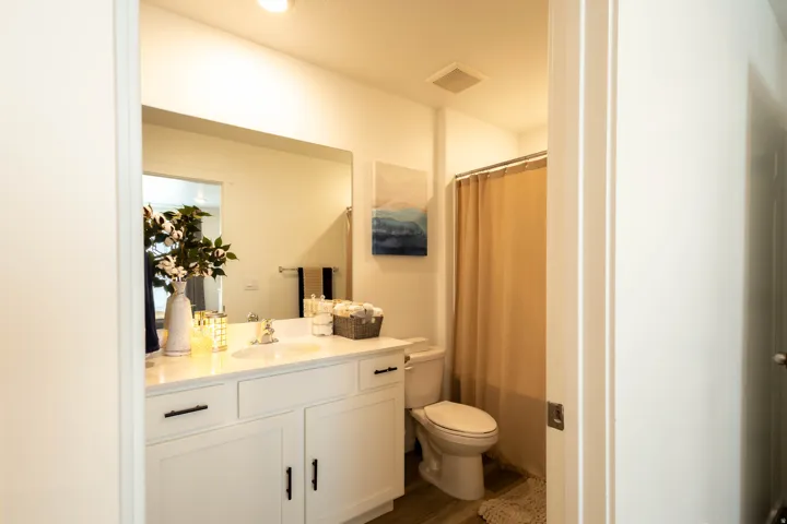 Bathroom featuring a white vanity with a single sink, an integrated mirror, a toilet, and wood-finish flooring