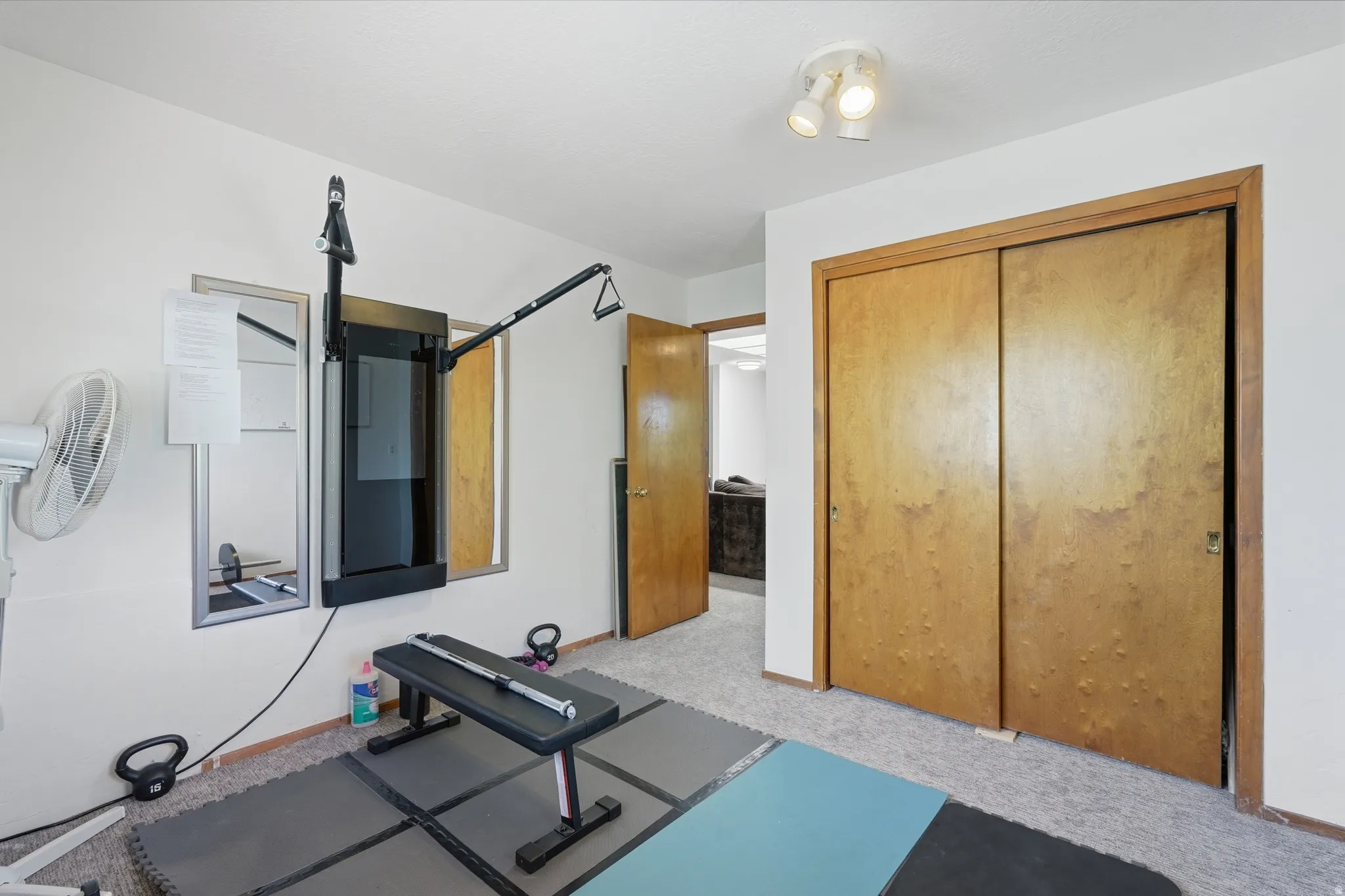 Neutral-toned room featuring a ceiling-mounted light fixture and light wood-finish sliding closet doors