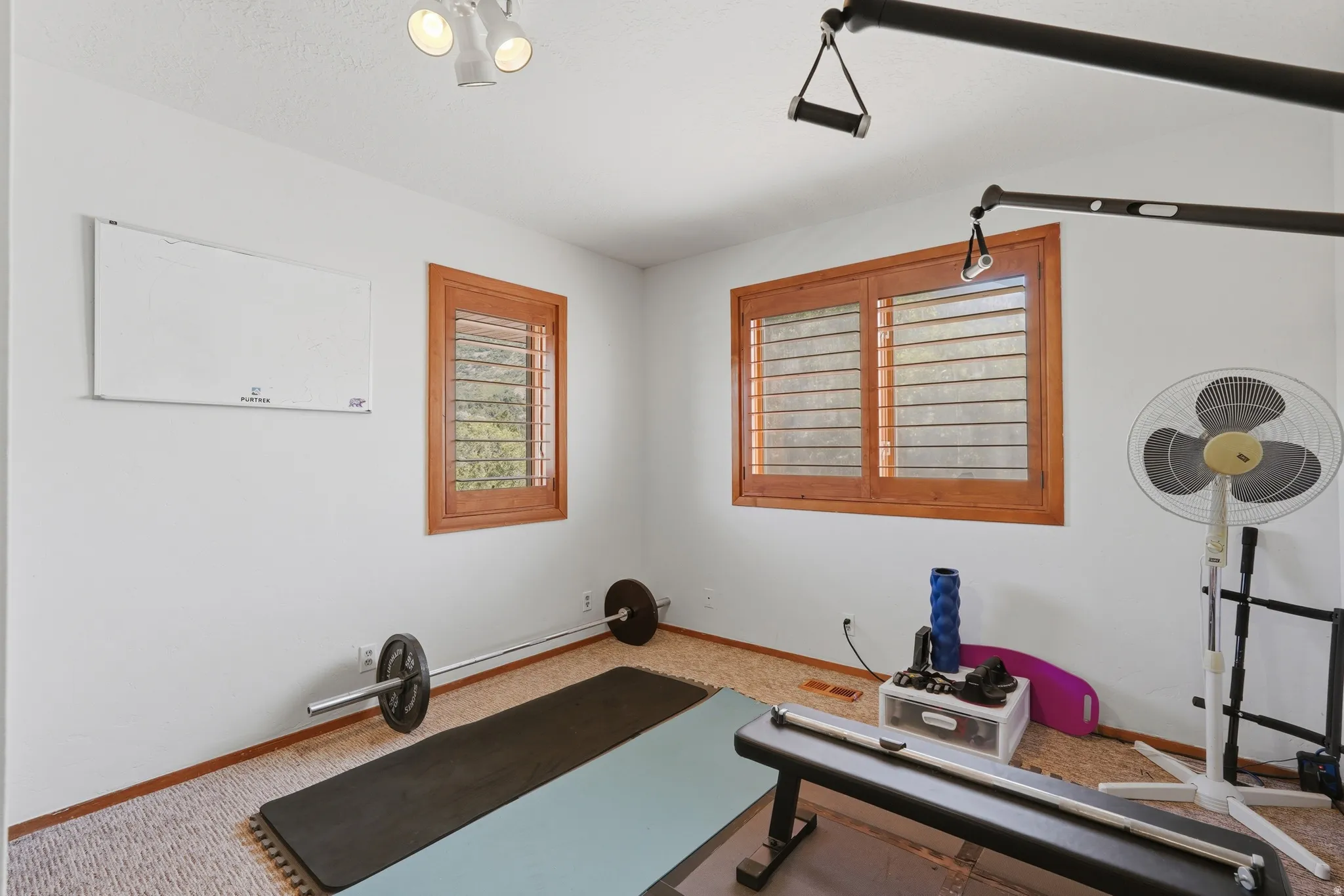 Bedroom featuring carpet flooring, white walls, and track lighting