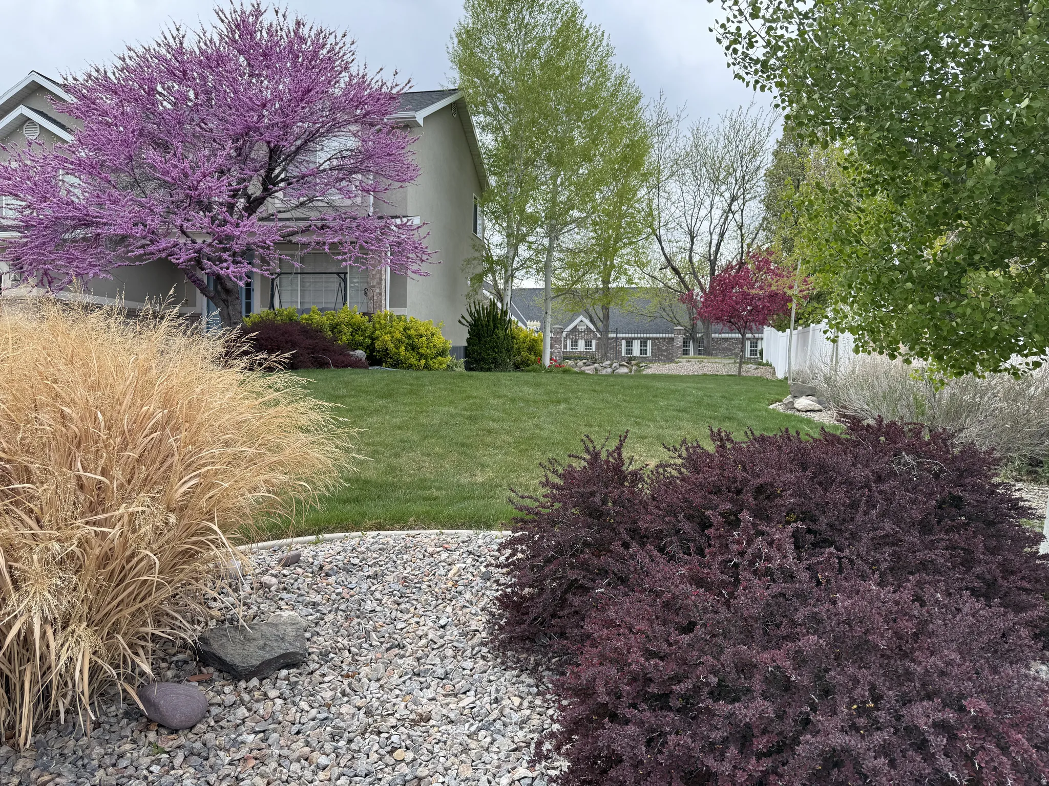 Mature landscaping featuring a vibrant purple-blossomed tree, manicured lawn, gravel accents, and varied shrubbery