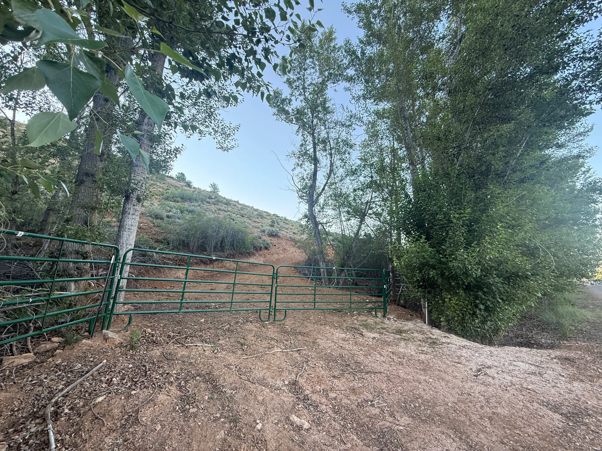 Green metal gate system set against a backdrop of mature trees and natural hillside terrain