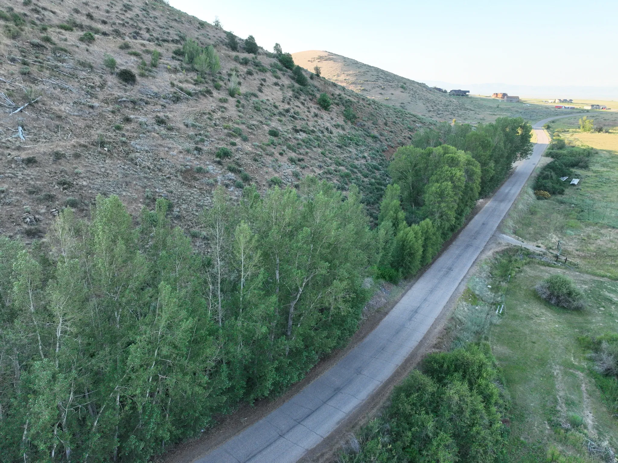 Paved road bordered by lush deciduous trees and a natural, undeveloped hillside