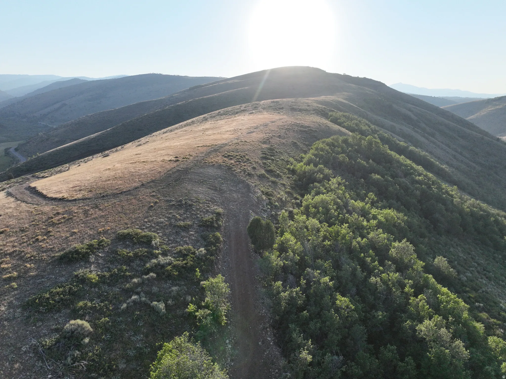 Rolling hillsides featuring natural vegetation and a prominent dirt path