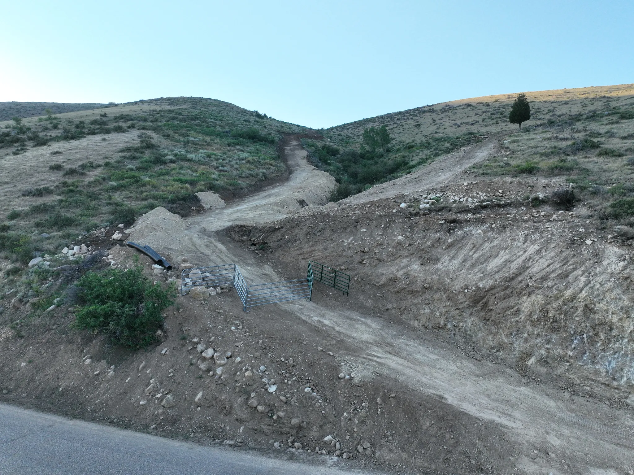 Sloping hillside terrain with established dirt paths and a single mature tree