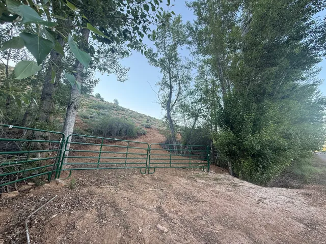 Green metal gate system set against a backdrop of mature trees and natural hillside terrain