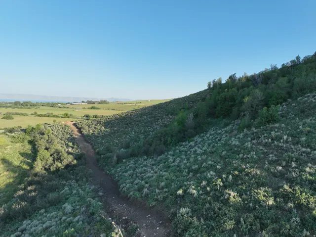 Expansive sloping terrain with natural vegetation and distant water body