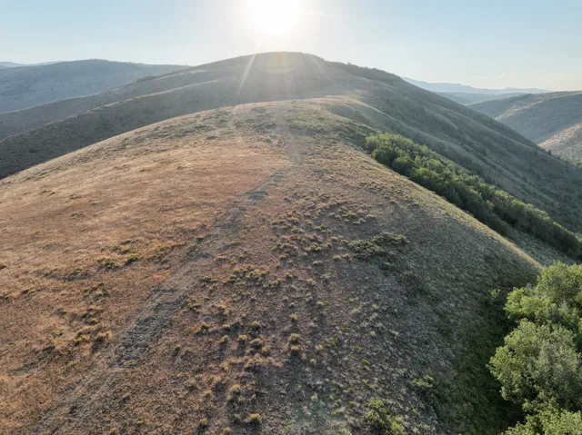 Rolling hills with natural vegetation and distant mountains