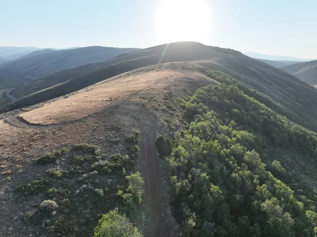 Rolling hillsides featuring natural vegetation and a prominent dirt path