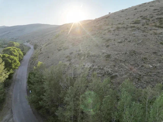 Winding paved road bordered by lush trees and a natural hillside landscape