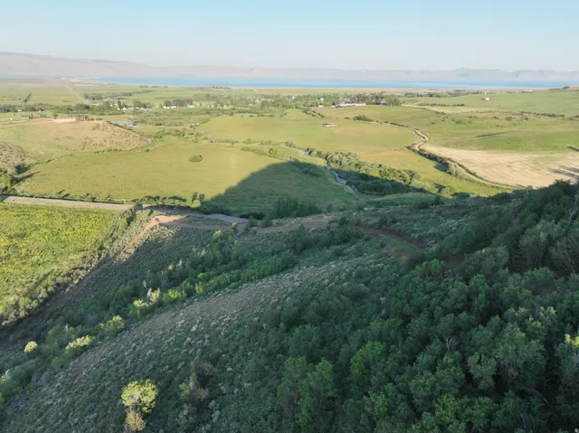Expansive natural landscape featuring rolling hills and distant water