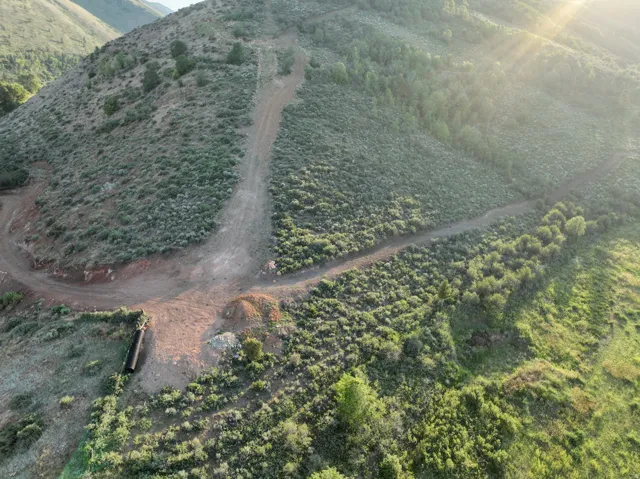 Expansive hillside property featuring established dirt access roads, diverse natural vegetation, and mature trees on the surrounding terrain